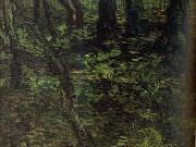 Undergrowth with Ivy (nn04), Vincent Van Gogh